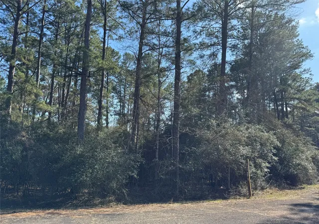 Photo 1 of Land for sale at Tbd White Oak St, Trinity, TX 75862 | MLS# 6675070 | Listing updated on 2026-09-14