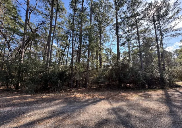 Photo 2 of Land for sale at Tbd White Oak St, Trinity, TX 75862 | MLS# 6675070 | Listing updated on 2026-09-14