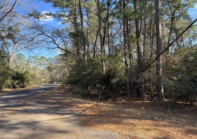 Photo 3 of Land for sale at Tbd White Oak St, Trinity, TX 75862 | MLS# 6675070 | Listing updated on 2026-09-14