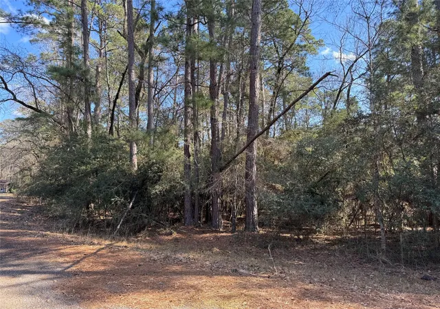 Photo 3 of Land for sale at Tbd White Oak St, Trinity, TX 75862 | MLS# 6675070 | Listing updated on 2026-09-14