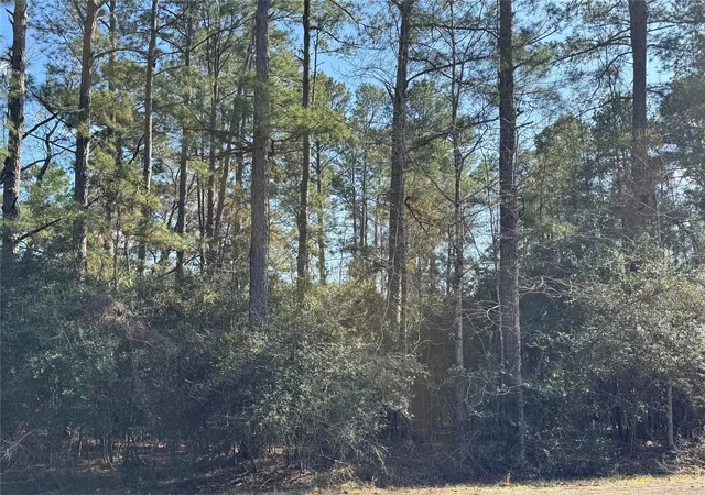 Photo 4 of Land for sale at Tbd White Oak St, Trinity, TX 75862 | MLS# 6675070 | Listing updated on 2026-09-14