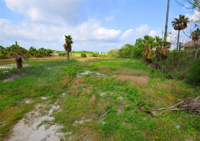 Photo 3 of Land for sale at 00000 Todville, Seabrook, TX 77586 | MLS# 64352387 | Listing updated on 2026-09-07