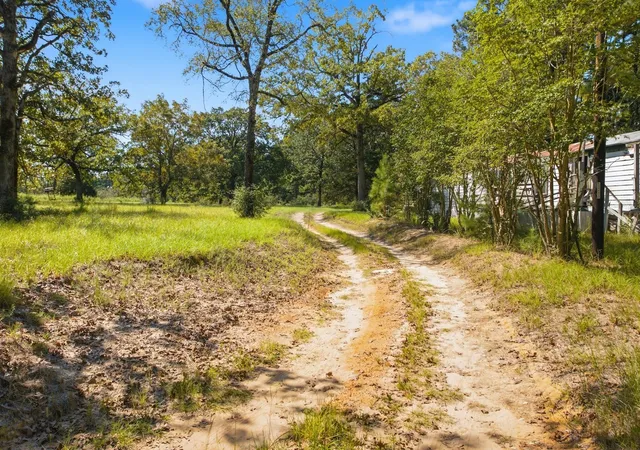 Photo 3 of Land for sale at 5995 Prairie 2065, Centerville, TX 75833 | MLS# 56890795 | Listing updated on 2026-09-22