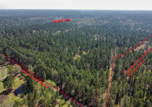 Photo 4 of Land for sale at 4440 Fm 1486, Montgomery, TX 77316 | MLS# 80592314 | Listing updated on 2026-09-09