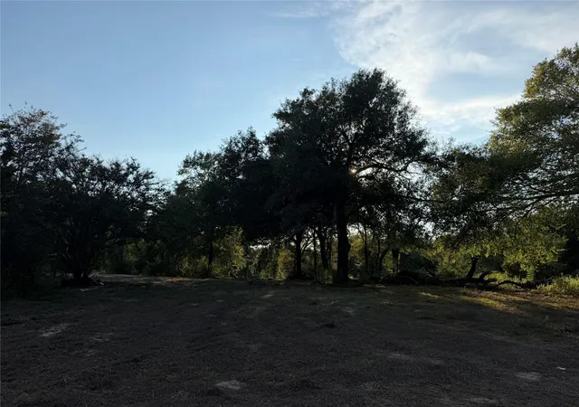 Photo 18 of Land for sale at 13701 Cr 349, Jewett, TX 75846 | MLS# 33442281 | Listing updated on 2026-09-10