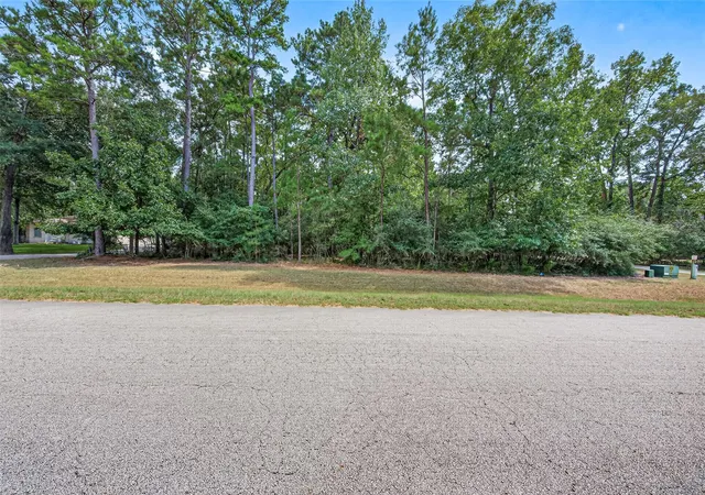 Photo 2 of Sale Pending at Tbd Ridge Lake Dr, Montgomery, TX 77316 | MLS# 63904257 | Listing updated on 2026-09-11