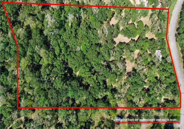 Photo 3 of Land for sale at 22722 County Rd 384 A, Damon, TX 77430 | MLS# 81883740 | Listing updated on 2026-09-23