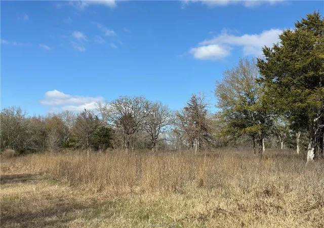 Photo 3 of Land for sale at 10986 Fm 391, Hearne, TX 77859 | MLS# 50551622 | Listing updated on 2026-09-23