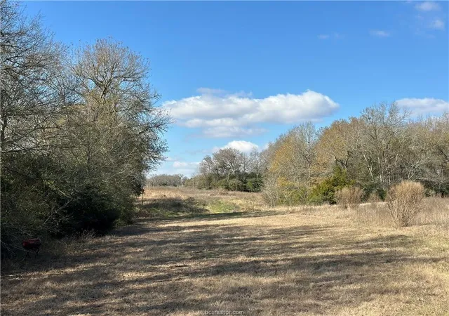 Photo 4 of Land for sale at 10986 Fm 391, Hearne, TX 77859 | MLS# 50551622 | Listing updated on 2026-09-23