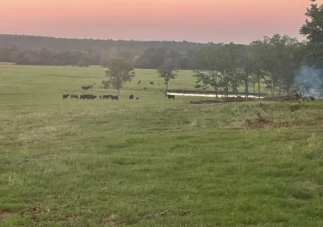 Photo 4 of Land for sale at 1 Highway 7 W, Crockett, TX 75835 | MLS# 52852784 | Listing updated on 2026-09-04