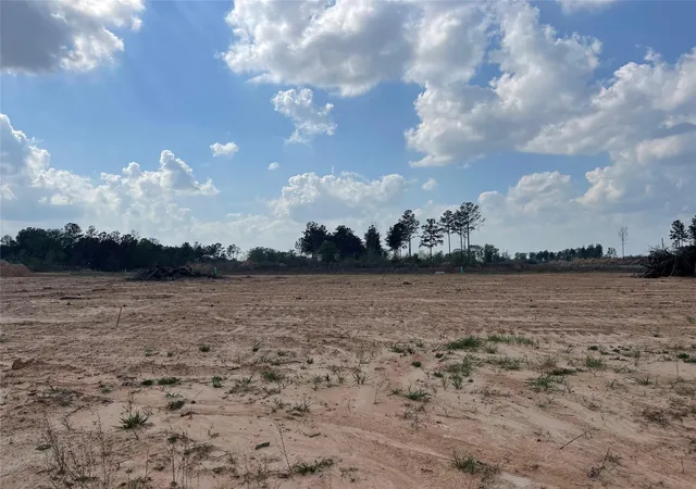Photo 3 of Land for sale at 95 County Rd 5004, Cleveland, TX 77327 | MLS# 74898492 | Listing updated on 2026-09-03