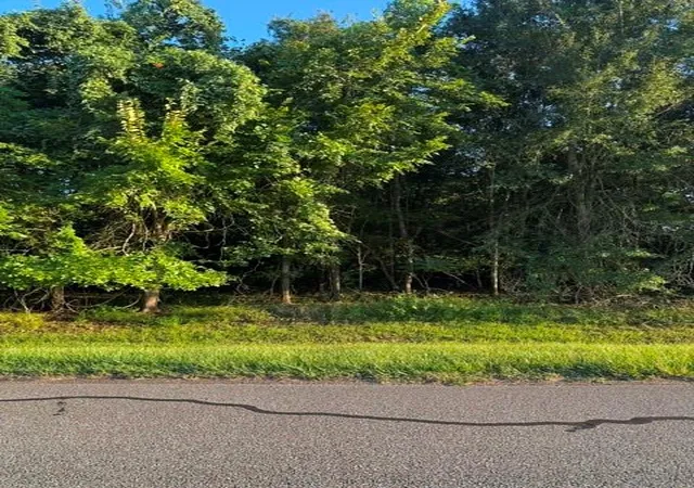 Photo 3 of Land for sale at 1039 W Point Dr, Rosharon, TX 77583 | MLS# 63943562 | Listing updated on 2026-09-09