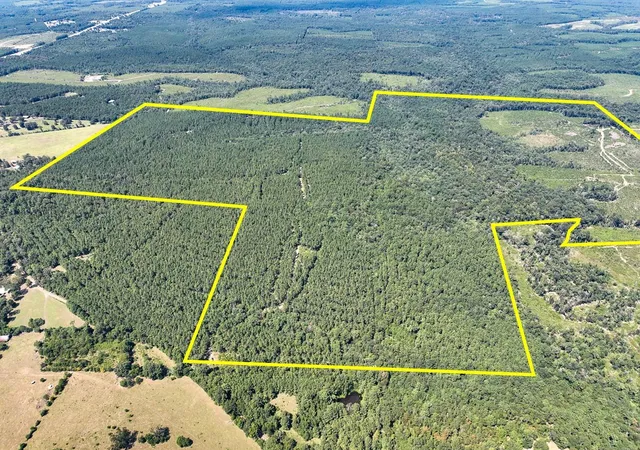 Land for sale at 0 Cr 314, Kirbyville, TX 75956 | MLS# 78803053
