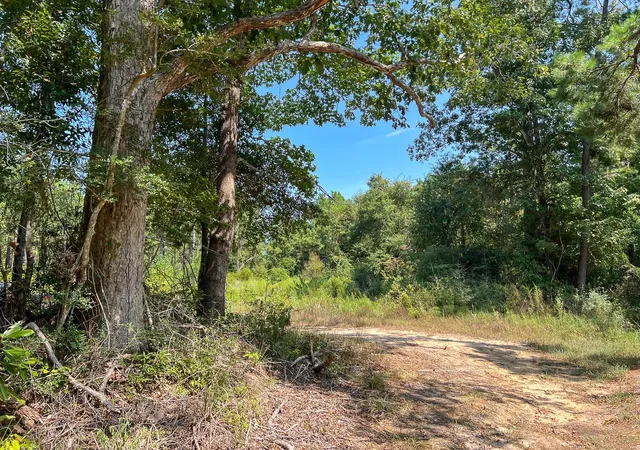 Photo 2 of Land for sale at 0 Cr 314, Kirbyville, TX 75956 | MLS# 78803053 | Listing updated on 2026-08-31