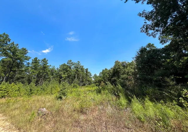 Photo 3 of Land for sale at 0 Cr 314, Kirbyville, TX 75956 | MLS# 78803053 | Listing updated on 2026-08-31