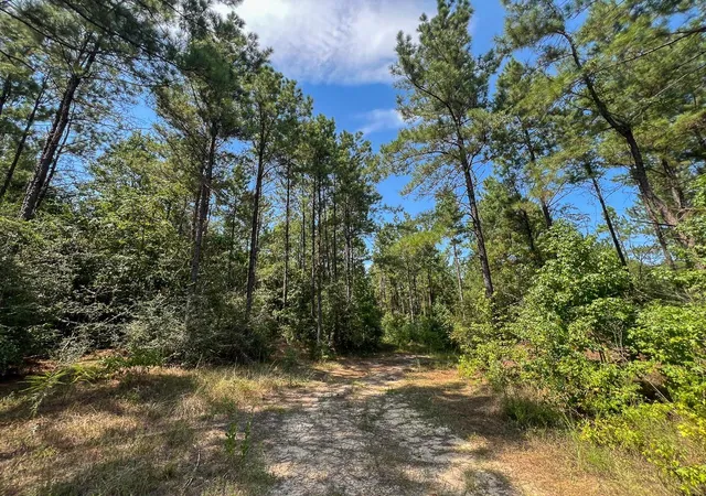 Photo 3 of Land for sale at 0 Cr 314, Kirbyville, TX 75956 | MLS# 78803053 | Listing updated on 2026-08-31