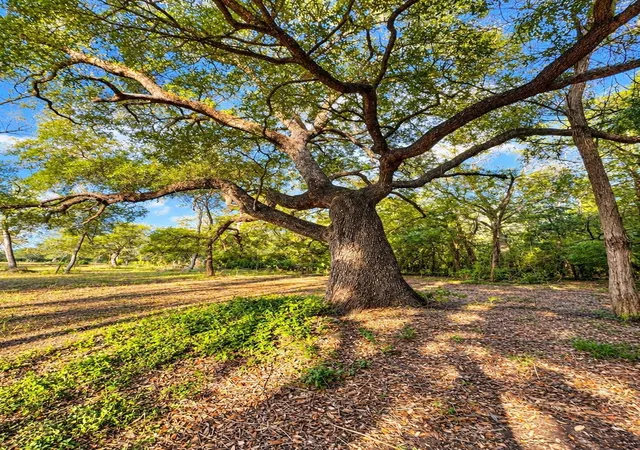 Photo 3 of Land for sale at 6122 Sand Rock Rd, La Grange, TX 78945 | MLS# 58990634 | Listing updated on 2026-09-09