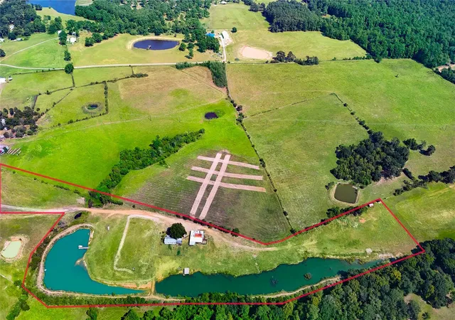 Photo 3 of Land for sale at 10802 County Rd 203, Plantersville, TX 77363 | MLS# 55378869 | Listing updated on 2026-08-31