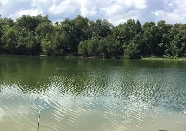 Photo 2 of Land for sale at 351 S Lakeside Dr, Huntsville, TX 77320 | MLS# 13926356 | Listing updated on 2026-09-10