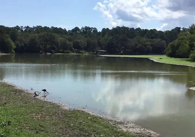 Photo 3 of Land for sale at 351 S Lakeside Dr, Huntsville, TX 77320 | MLS# 13926356 | Listing updated on 2026-09-10