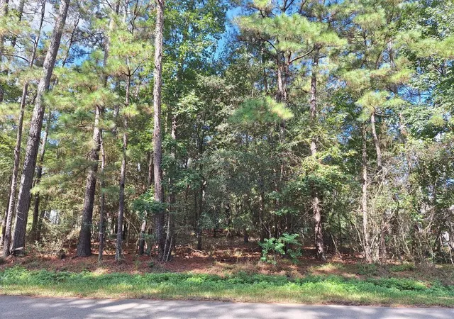 Land for sale at 1023 Weisinger Dr, Magnolia, TX 77354 | MLS# 81020543