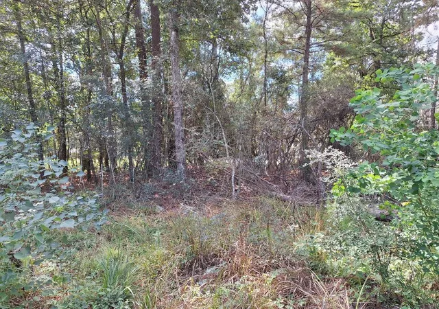 Photo 3 of Land for sale at 1023 Weisinger Dr, Magnolia, TX 77354 | MLS# 81020543 | Listing updated on 2026-09-24