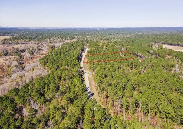 Photo 2 of Land for sale at 14 36 13 Sandpiper Dr, New Waverly, TX 77358 | MLS# 25106097 | Listing updated on 2026-09-04