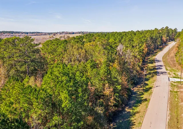 Photo 4 of Land for sale at 14-36-13 Sandpiper Dr, New Waverly, TX 77358 | MLS# 25106097 | Listing updated on 2026-09-04