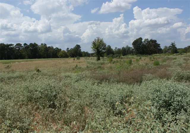 Photo 4 of Land for sale at Tbd Sunrise Bnd, Pittsburg, TX 75686 | MLS# 81904445 | Listing updated on 2026-09-08