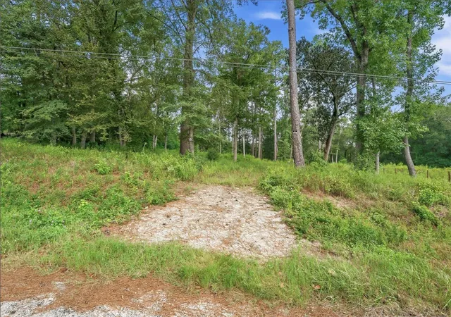 Photo 3 of Land for sale at 1011 County Rd 3709, Splendora, TX 77372 | MLS# 41206843 | Listing updated on 2026-09-23