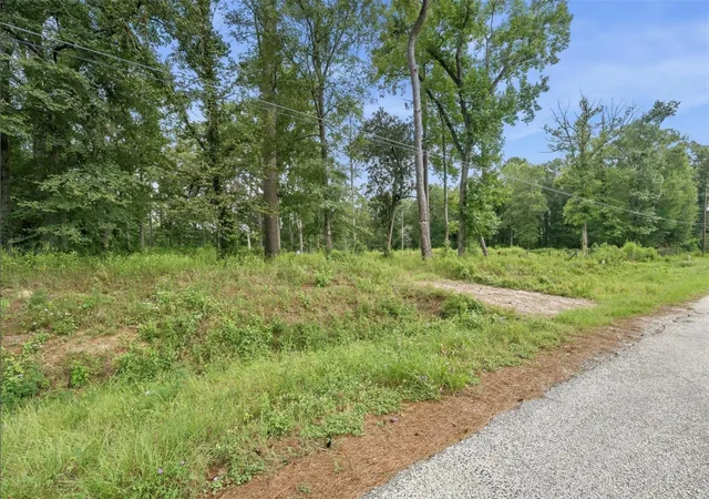 Photo 3 of Land for sale at 1011 County Rd 3709, Splendora, TX 77372 | MLS# 41206843 | Listing updated on 2026-09-23