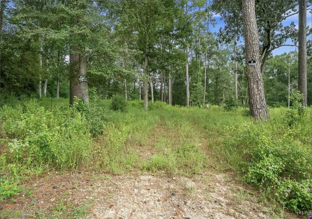 Photo 4 of Land for sale at 1011 County Rd 3709, Splendora, TX 77372 | MLS# 41206843 | Listing updated on 2026-09-23