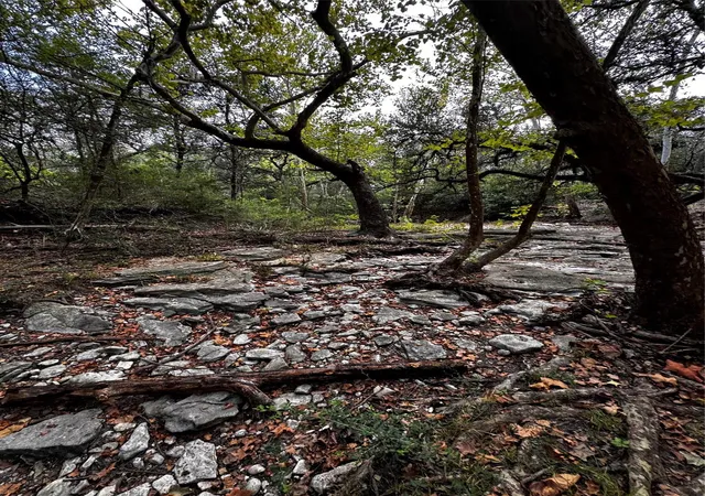 Photo 3 of Land for sale at 5780 Sandrock Rd, La Grange, TX 78945 | MLS# 26961564 | Listing updated on 2026-09-27