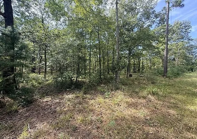 Photo 3 of Land for sale at Tbd Kings Point Dr, Coldspring, TX 77331 | MLS# 68484880 | Listing updated on 2026-09-09
