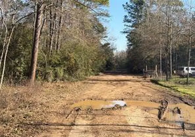 Photo 2 of Land for sale at Tbd Lazy Oak Dr, Livingston, TX 77351 | MLS# 4471412 | Listing updated on 2026-09-01