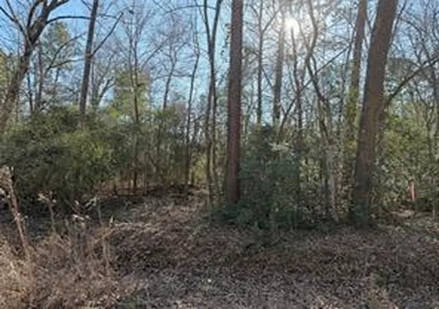 Photo 3 of Land for sale at Tbd Lazy Oak Dr, Livingston, TX 77351 | MLS# 4471412 | Listing updated on 2026-09-01