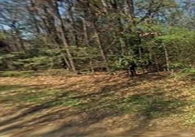 Photo 4 of Land for sale at Tbd Lazy Oak Dr, Livingston, TX 77351 | MLS# 4471412 | Listing updated on 2026-09-01