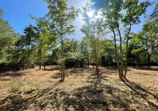 Photo 1 of Land for sale at Lot E 6 Fm 942, Livingston, TX 77351 | MLS# 96861381 | Listing updated on 2026-09-11