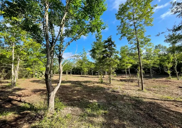 Photo 2 of Land for sale at Lot E 6 Fm 942, Livingston, TX 77351 | MLS# 96861381 | Listing updated on 2026-09-11
