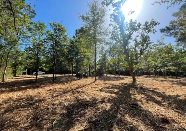 Photo 3 of Land for sale at Lot E 6 Fm 942, Livingston, TX 77351 | MLS# 96861381 | Listing updated on 2026-09-11