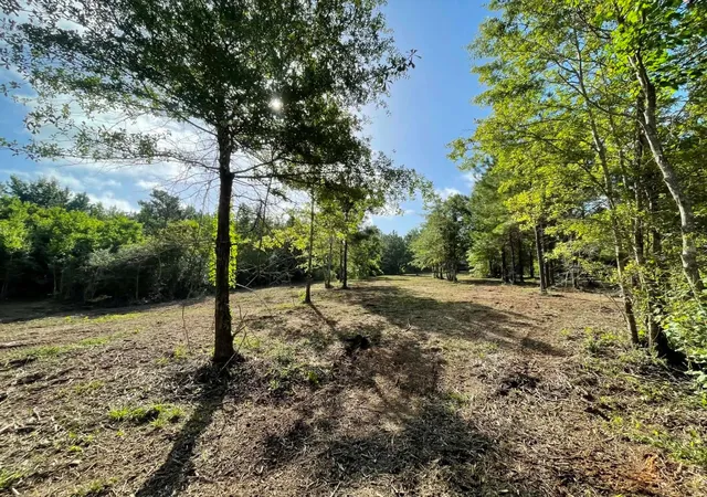 Photo 3 of Land for sale at Lot E 6 Fm 942, Livingston, TX 77351 | MLS# 96861381 | Listing updated on 2026-09-11