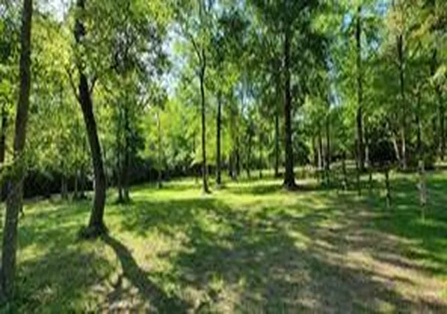 Photo 1 of Land for sale at 678 Old Phelps Rd, Huntsville, TX 77340 | MLS# 29946618 | Listing updated on 2026-09-14