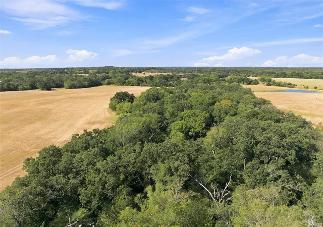 Photo 4 of Land for sale at 01 Fm 937, Groesbeck, TX 76642 | MLS# 95706194 | Listing updated on 2026-09-16