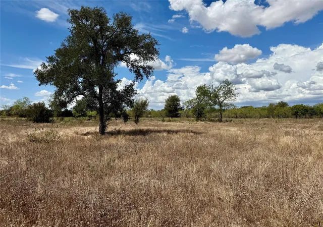 Land for sale at 1.67 S Bus Hwy 6, Marlin, TX 76661 | MLS# 87234121