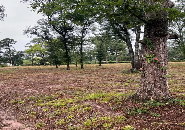 Photo 2 of Land for sale at 21844 Cherry St, New Caney, TX 77357 | MLS# 75153714 | Listing updated on 2026-09-22