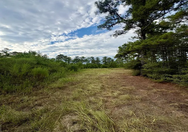 Photo 45 of Sale Pending at 8330 Fm 355, Trinity, TX 75862 | MLS# 13243084 | Listing updated on 2026-09-10