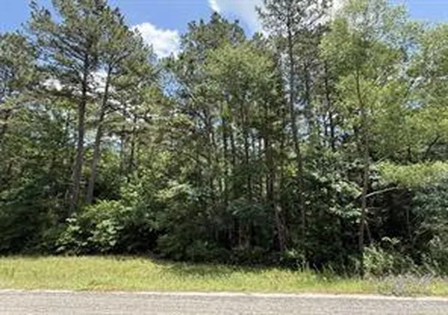 Photo 4 of Land for sale at 263 Winchester Rd, Huntsville, TX 77340 | MLS# 81937519 | Listing updated on 2026-09-16