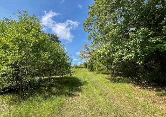 Photo 2 of Land for sale at 1 County Rd 3330, Jacksonville, TX 75766 | MLS# 89846134 | Listing updated on 2026-09-18