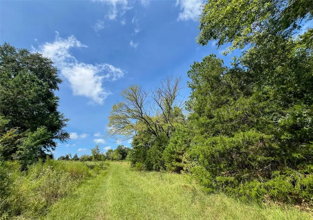Photo 3 of Land for sale at 1 County Rd 3330, Jacksonville, TX 75766 | MLS# 89846134 | Listing updated on 2026-09-18
