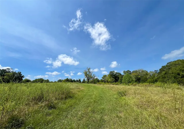 Photo 3 of Land for sale at 1 County Rd 3330, Jacksonville, TX 75766 | MLS# 89846134 | Listing updated on 2026-09-18